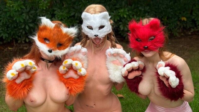 Imagem Quem são os Quadrobers?