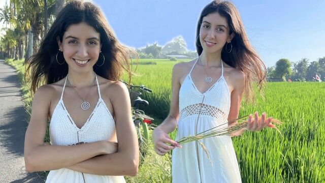Imagem Apanhador de arroz doce